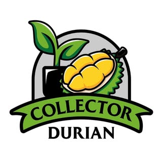 Collector Durian